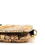 Roxy Snakeskin Blondie Chain Shoulder Flap Bag Roccia