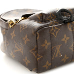 Monogram Palm Springs Backpack Mini