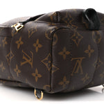 Monogram Palm Springs Backpack Mini