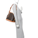 Monogram Petit Noe NM
