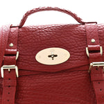 Shrunken Calfskin Medium Alexa Red