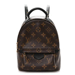 Monogram Palm Springs Backpack Mini