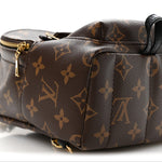 Monogram Palm Springs Backpack Mini