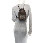 Monogram Palm Springs Backpack Mini