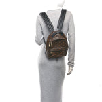 Monogram Palm Springs Backpack PM