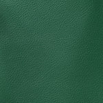 Goyardine Reversible Mini Anjou Green