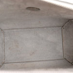 Grained Calfskin Nano Belt Bag Mineral