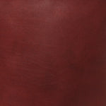 Polished Saddle Calfskin Medium N/S Park Tote Burnt Wood