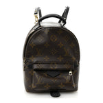 Monogram Palm Springs Backpack Mini
