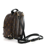 Monogram Palm Springs Backpack Mini