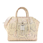 Snakeskin Mini Lock Antigona Shoulder Bag Dusty Gold