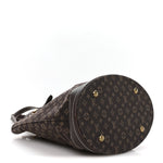 Mini Lin Monogram Bucket Bag Ebene