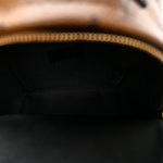 Reverse Monogram Palm Springs Backpack Mini