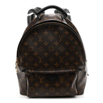Monogram Palm Springs Backpack MM