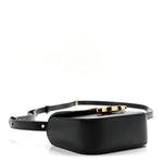 Shiny Calfskin Mini Triomphe Black