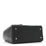Ceramic Effect Deerskin Jeweled Swan Lady Dior Black
