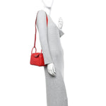 Taurillon Clemence Mini Lindy 20 Rouge Radieux