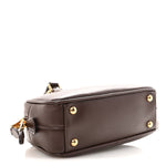 Calfskin Mini Arcadie Top Handle Bag Briarwood