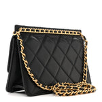 Caviar Quilted Small Chain Frame Flap Black