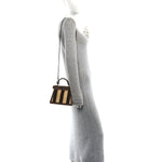 Cuoio Romano Raffia Woven Petite Peekaboo I SEE U Satchel Natural Gianduia
