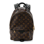 Monogram Palm Springs Backpack PM