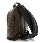 Monogram Palm Springs Backpack PM