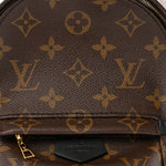 Monogram Palm Springs Backpack Mini