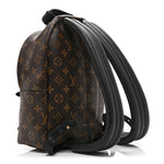 Monogram Palm Springs Backpack PM