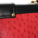 City Calfskin Ostrich Cahier Bag Fuoco Black