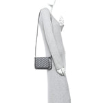 Goyardine Plumet Wallet Clutch Grey