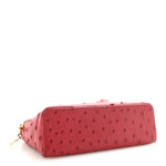 Ostrich L19 Extra Pocket Pouch