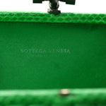 Satin Intreccio Impero Ayers Knot Clutch Parakeet
