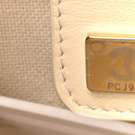 Suede Calfskin Large Perfect Bowling Bag Grey
