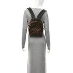 Monogram Palm Springs Backpack PM