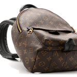 Monogram Palm Springs Backpack PM