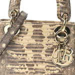 Lizard Ombre Mini Lady Dior