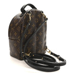 Monogram Palm Springs Backpack Mini
