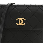 Calfskin Quilted Pearl Small About Pearls Hobo Bag Black