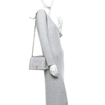 Metallic Grained Calfskin Diorama Wallet on Chain Pouch Silver