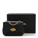 Glazed Calfskin Quilted Mini Pearl Side Flap Black
