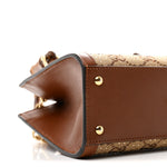 New Canvas Charisma Calfskin Crystal GG Monogram Mini Diana Tote Bag Camel Ebony