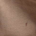 Empreinte Vavin PM Vison