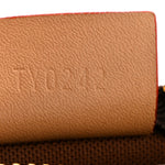 Monogram Nano Speedy Bandouliere