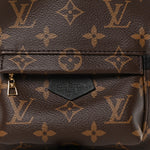 Monogram Palm Springs Backpack Mini