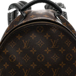 Monogram Palm Springs Backpack MM