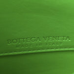 Calfskin Mount Envelope Bag Parakeet