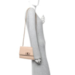 Printed Calfskin Vara Bow Chain Flap Crossbody Beige