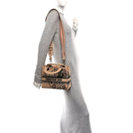 Canvas Jute Embroidered Medium Lady D-Lite Beige Multicolor