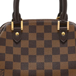 Damier Ebene Ribera Mini