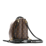 Monogram Palm Springs Backpack Mini